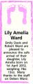 Lily Amelia Ward